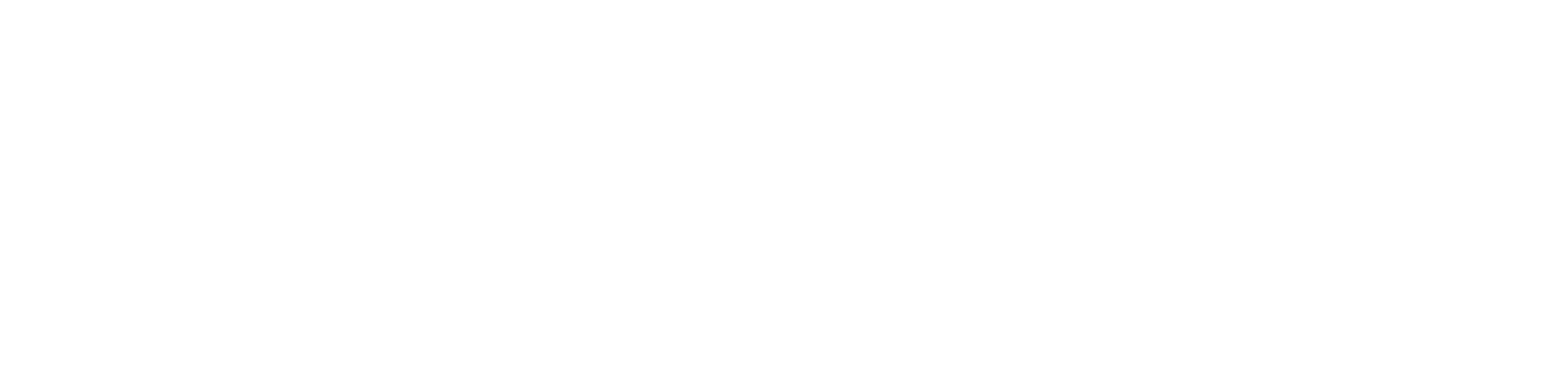 STARSCAN – Video & Social Media